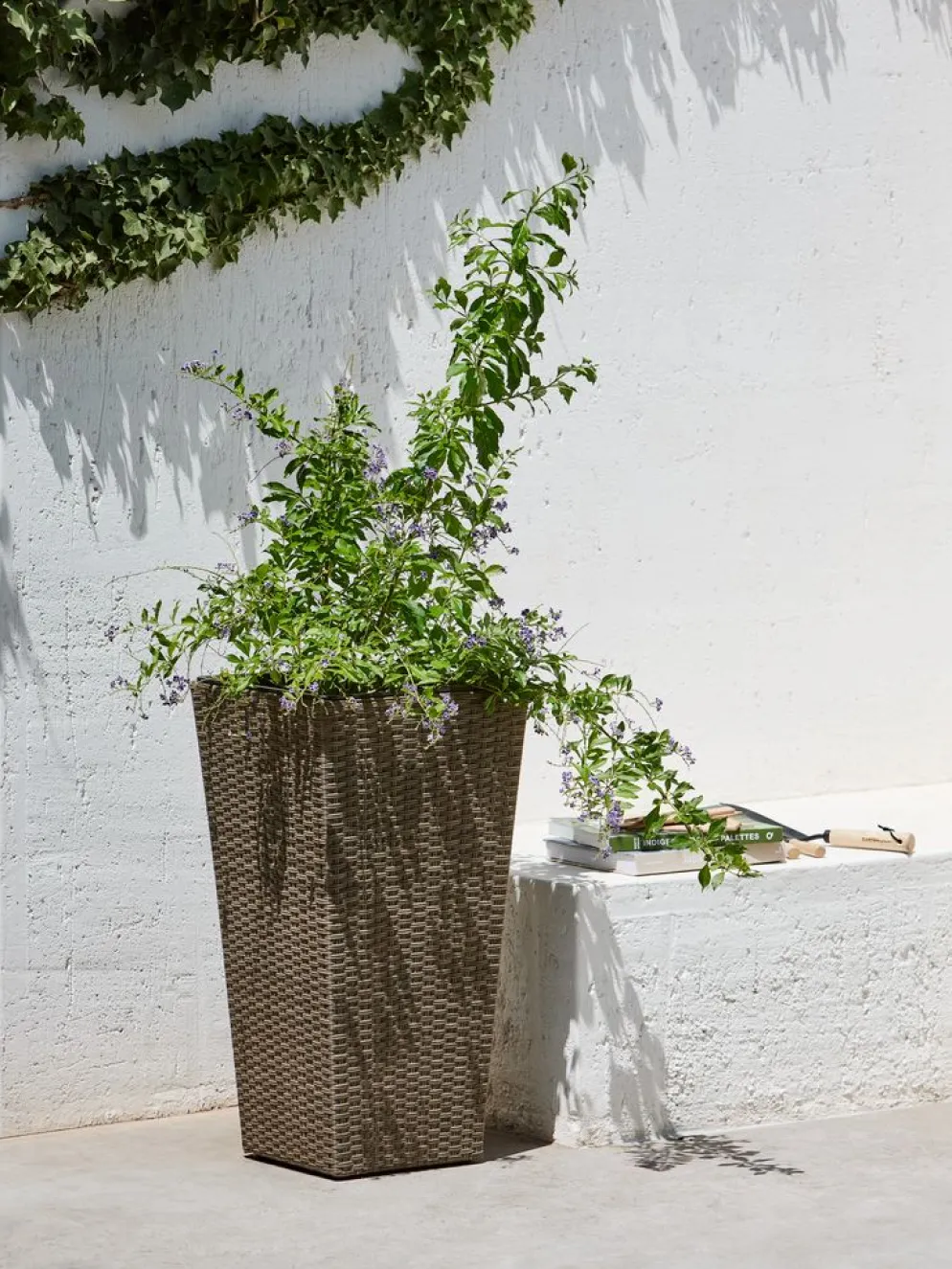 BLOMMORPanier pour plantes BLOMMOR l36xL36xH70 naturel