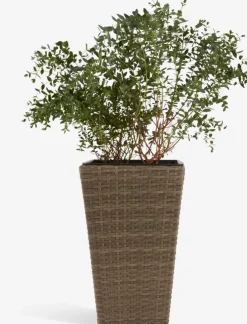 BLOMMORPanier pour plantes BLOMMOR l31xL31xH50 naturel