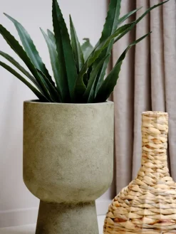 CELIUSPlante artificielle CELIUS H65cm aloe vera