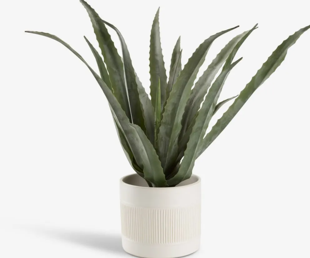 CELIUSPlante artificielle CELIUS H65cm aloe vera