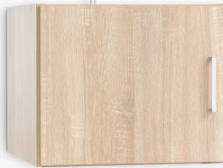 FANDRUPMeuble haut FANDRUP 50x41 1 porte coloris chêne clair