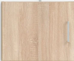 FANDRUPMeuble haut FANDRUP 50x41 1 porte coloris chêne clair