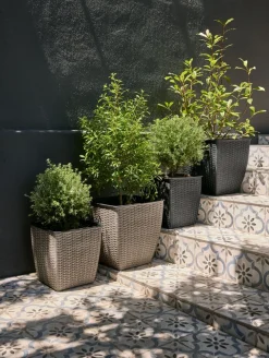 ISLOMPanier pour plantes ISLOM 38x38x39 naturel