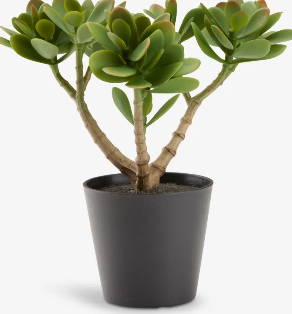 JOSTEINPlante artificielle JOSTEIN H23cm vert
