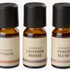 LEONHuile parfumée LEON 10ml 3pcs/pqt