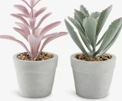 LOVEPlante artificielle LOVE Ø7xH15 ass.