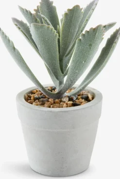 LOVEPlante artificielle LOVE Ø7xH15 ass.