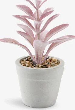 LOVEPlante artificielle LOVE Ø7xH15 ass.