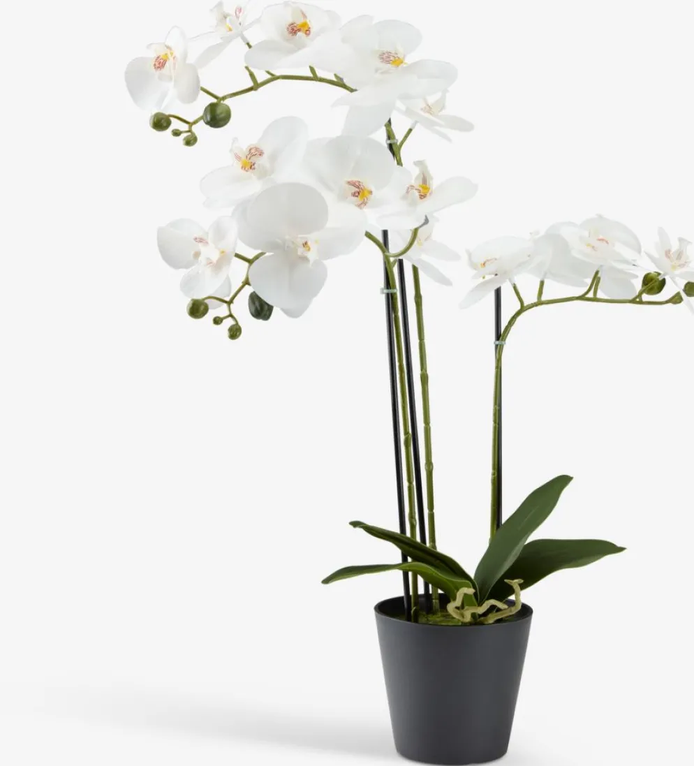 MATINUSPlante artificielle MATINUS H62cm orchidée blanche