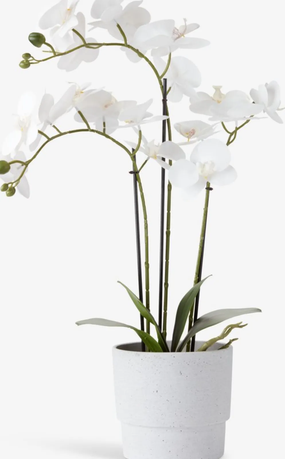 MATINUSPlante artificielle MATINUS H62cm orchidée blanche