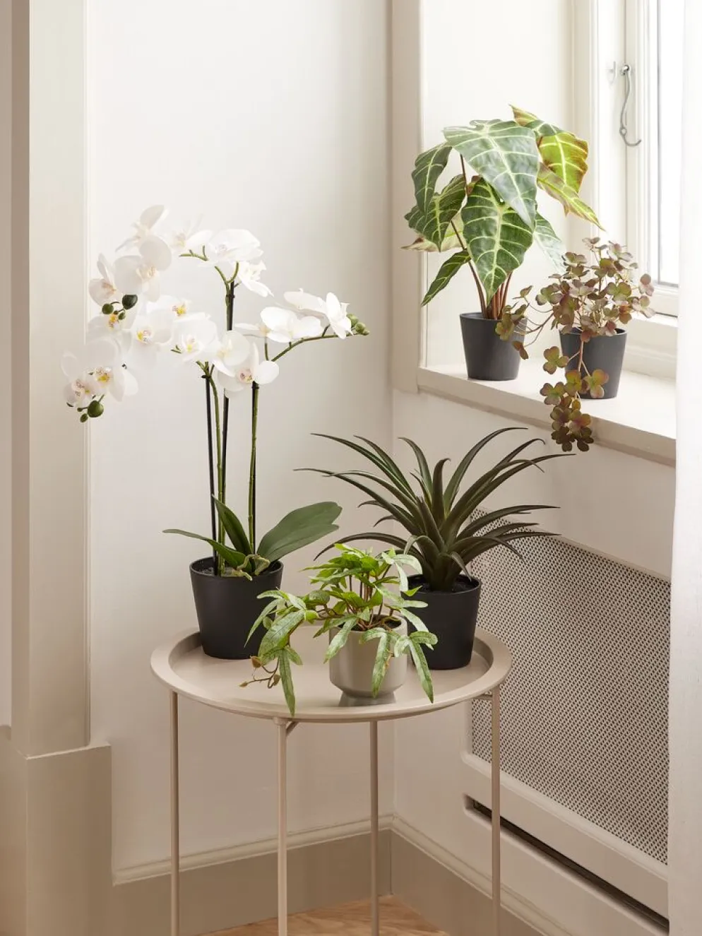 MATINUSPlante artificielle MATINUS H62cm orchidée blanche