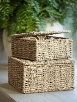 SENNANBoîte de rangement SENNAN a/couvercle herbier marin 2 pcs.